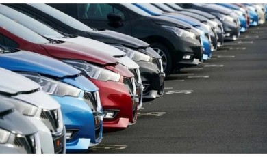 VavaAI Raporu Kasım 2025 Sonuçları: Fiyatlar Sınırlı Yükseldi, Geri Çekilme Devam Edecek mi?